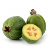 Feijoa