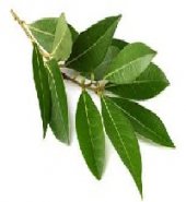 Laurel (100 Gr)